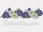 Cornflowers and Daisies