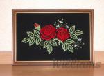 My Roses4