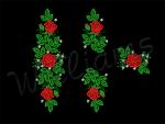 My Roses 5