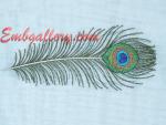 Peacock Feather