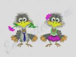 My bird