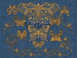 Machine Embroidery Designs Set