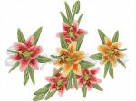 The collection of Machine Embroidery Designs