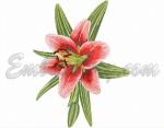 Machine Embroidery Design