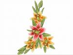 The set of Machine Embroidery Designs