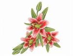 Machine Embroidery Design