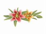 Machine Embroidery Design