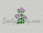 Machine Embroidery Design