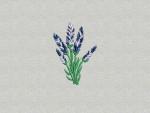 Machine Embroidery Design
