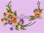 Set of 5 Machine Embroidery Designs