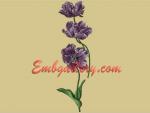 Set of Machine Embroidery Designs