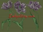Collection of 3 Machine Embroidery Designs