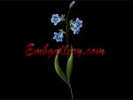 "Forest Glade"_11 Machine Embroidery Design