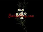 Machine Embroidery Design 