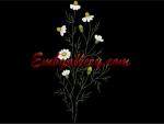 Machine Embroidery Design