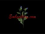 Machine Embroidery Design