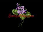 Machine Embroidery Design