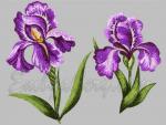 Machine Embroidery Designs Set