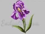 Machine Embroidery Design