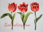 Machine Embroidery Designs Set
