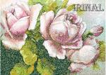 Machine Embroidery Design 