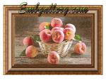 Machine Embroidery Design