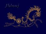 Machine embroidery design