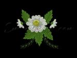 Machine Embroidery Design from the Set "Chamomiles"