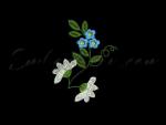 Machine Embroidery Design from the Set "Chamomiles"