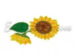 Machine Embroidery Design