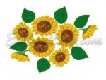 Set of 5 Machine Embroidery Designs
