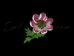 Machine Embroidery Design