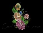 Machine Embroidery Design