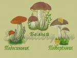 Collection of Machine Embroidery Designs