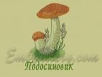 Machine Embroidery Design