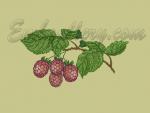 Machine Embroidery Design
