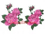 Set of 2 Machine Embroidery Designs in Cross Stitch Technique