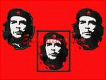 Set of 3 Machine Embroidery Designs