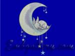 Machine Embroidery Design