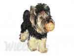 Machine Embroidery Design