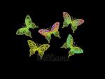 Machine Embroidery Designs