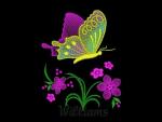 Machine Embroidery Design 