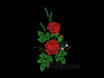 Williams design