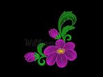 Williams design