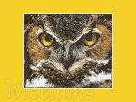 Machine embroidery design