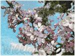 Machine embroidery design