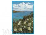 Photo Stitch Machine embroidery design