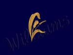 Machine Embroidery Designs