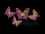 Machine Embroidery Set "Butterflies" Machine Embroidery Designs