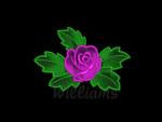 Williams design